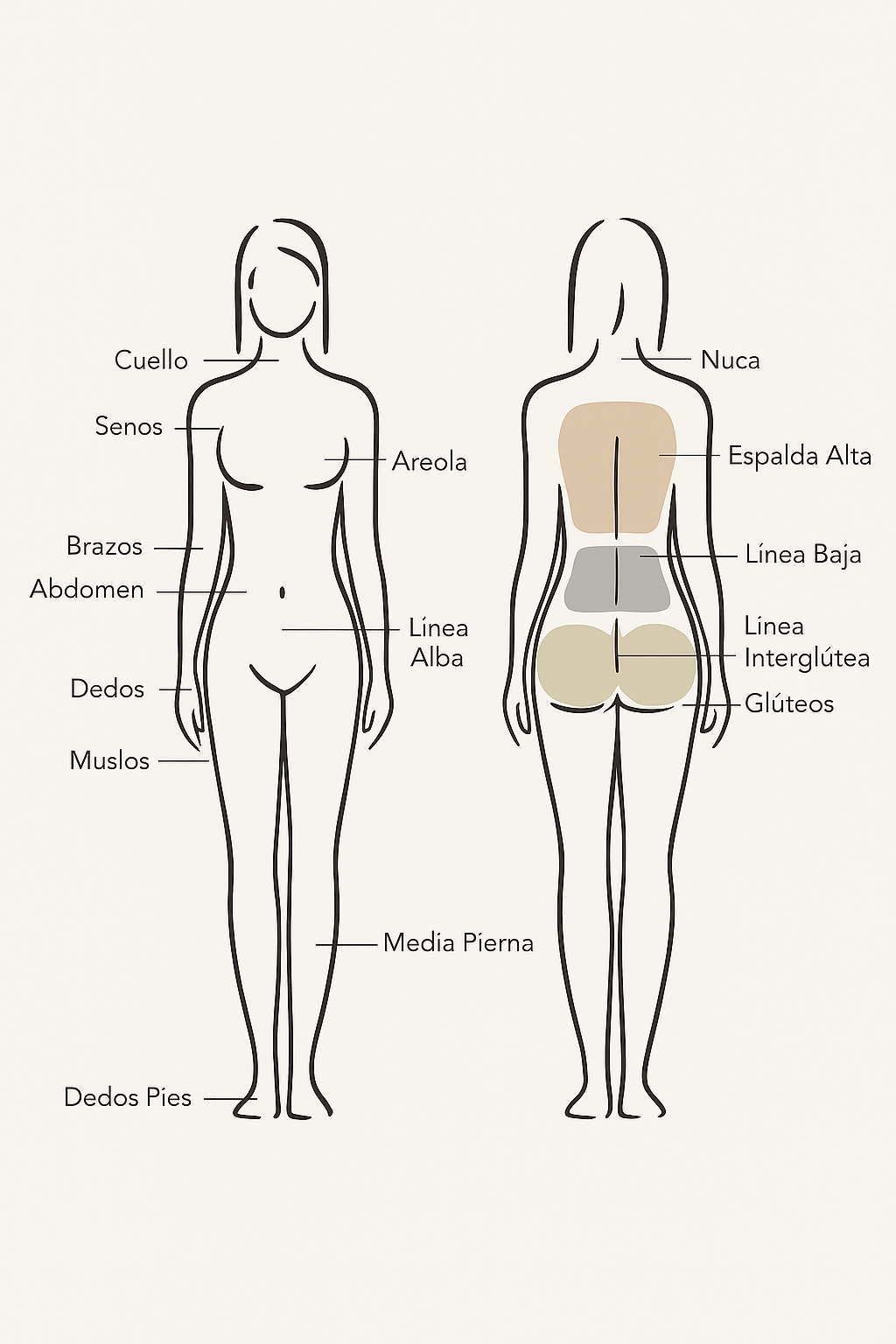 Depilación Láser Mujer Cuerpo