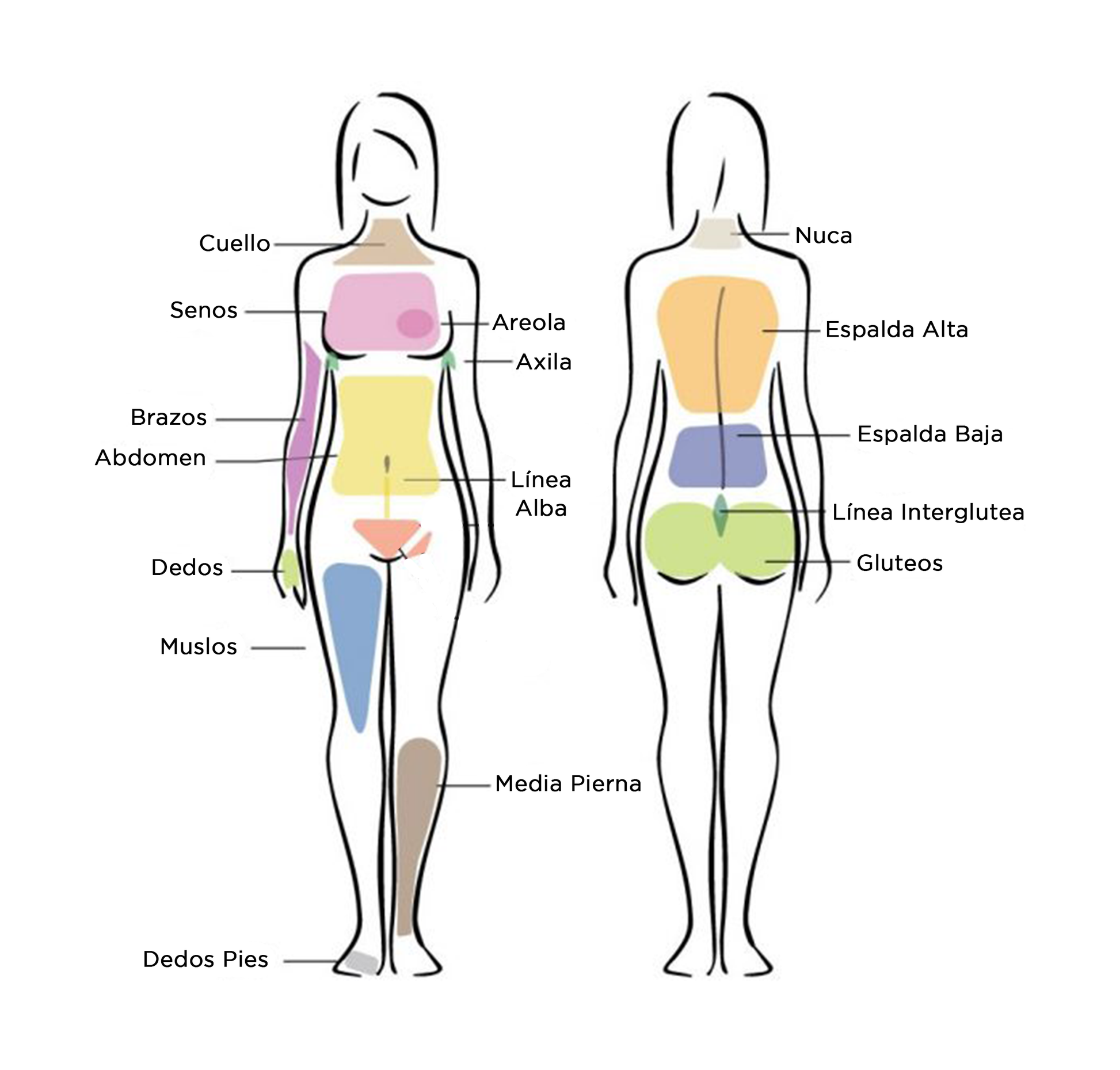 Depilacion espalda baja mujer hotsell