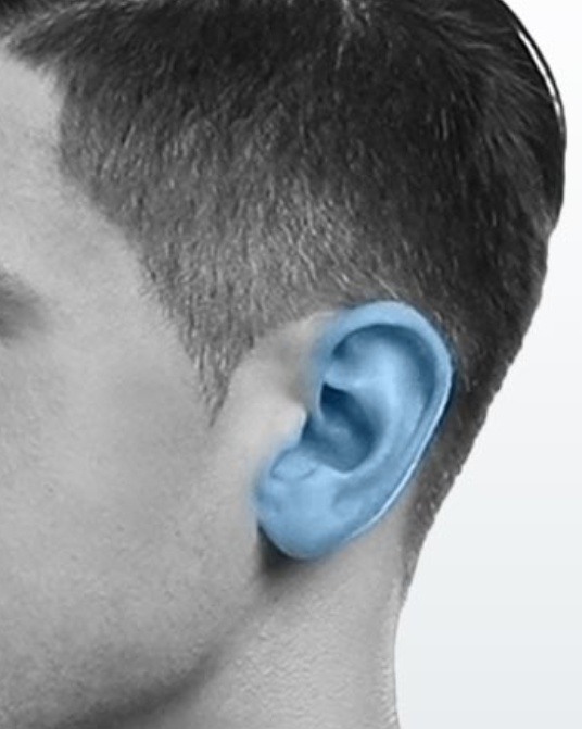 Láser Cuello y Orejas 5 Seciones